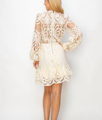 Art & Love Usa - Crochet Long Sleeve Mini Dress