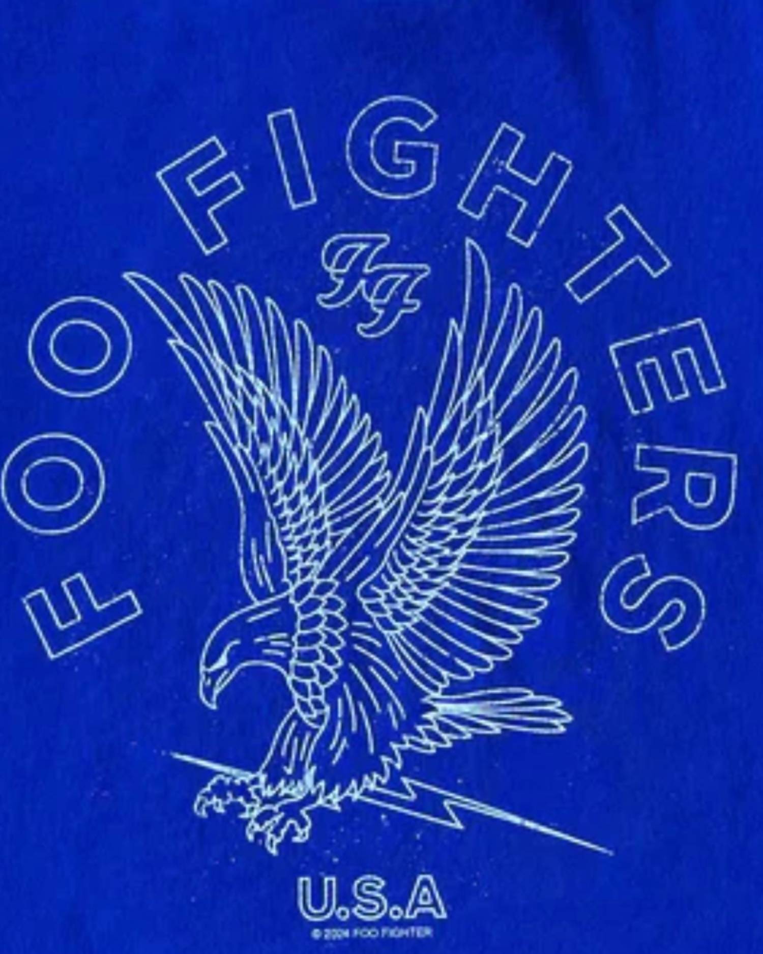 Rowdy Sprout - Boys' Foo Fighters Organic Tee