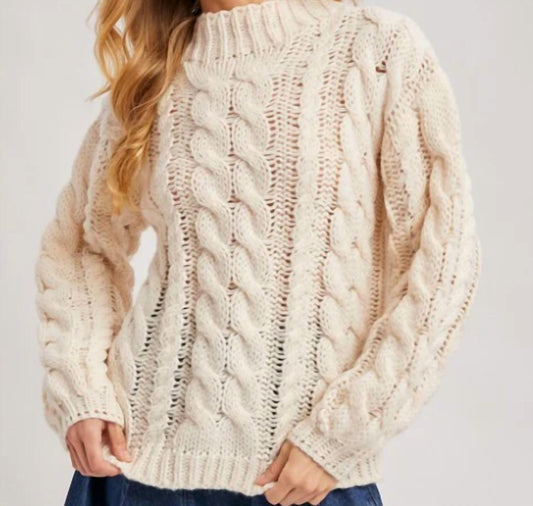 Bluivy - Elsie Chunky Knit Mock Neck Sweater