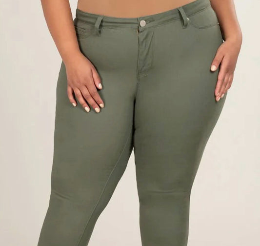 Judy Blue - High Waisted Skinny Jeans - Plus