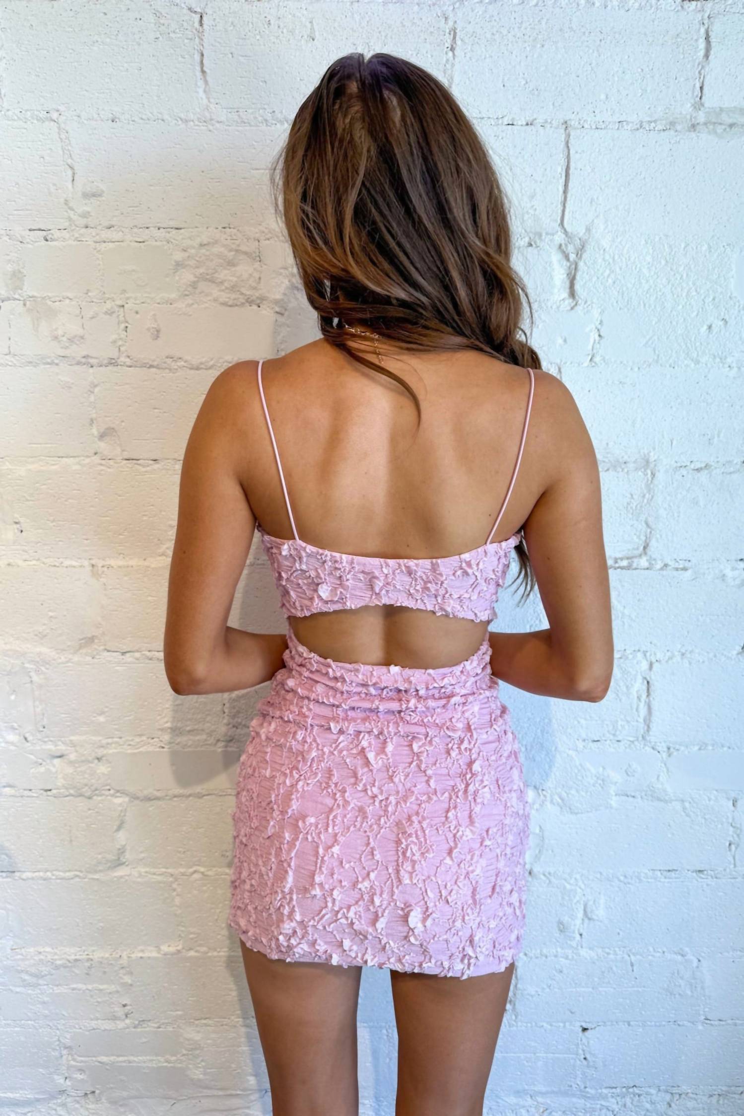 The Vintage Shop - Blush Crush Mini Dress