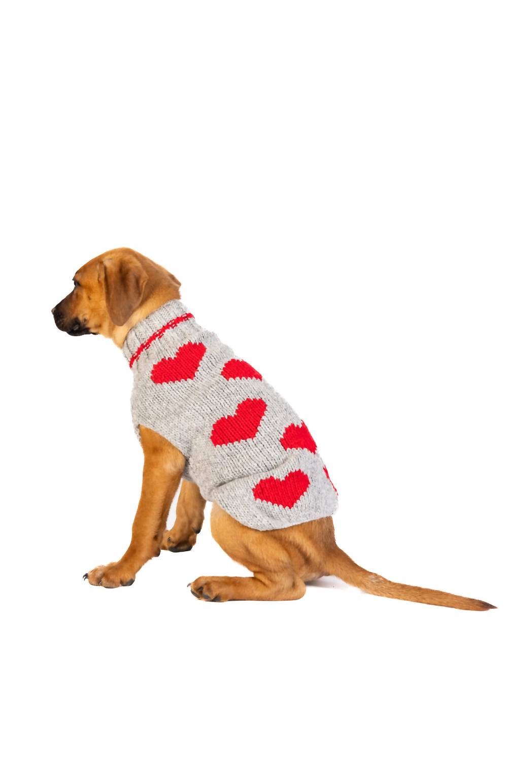 Chilly Dogs - Hearts Dog Sweater