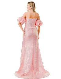 Coya Collection - Lucrezia Gown