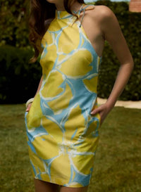 Hutch - Sleeveless A-line Shift Dress