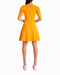 Nicole Miller - Jessie Pleated Shoulder A-Line Dress