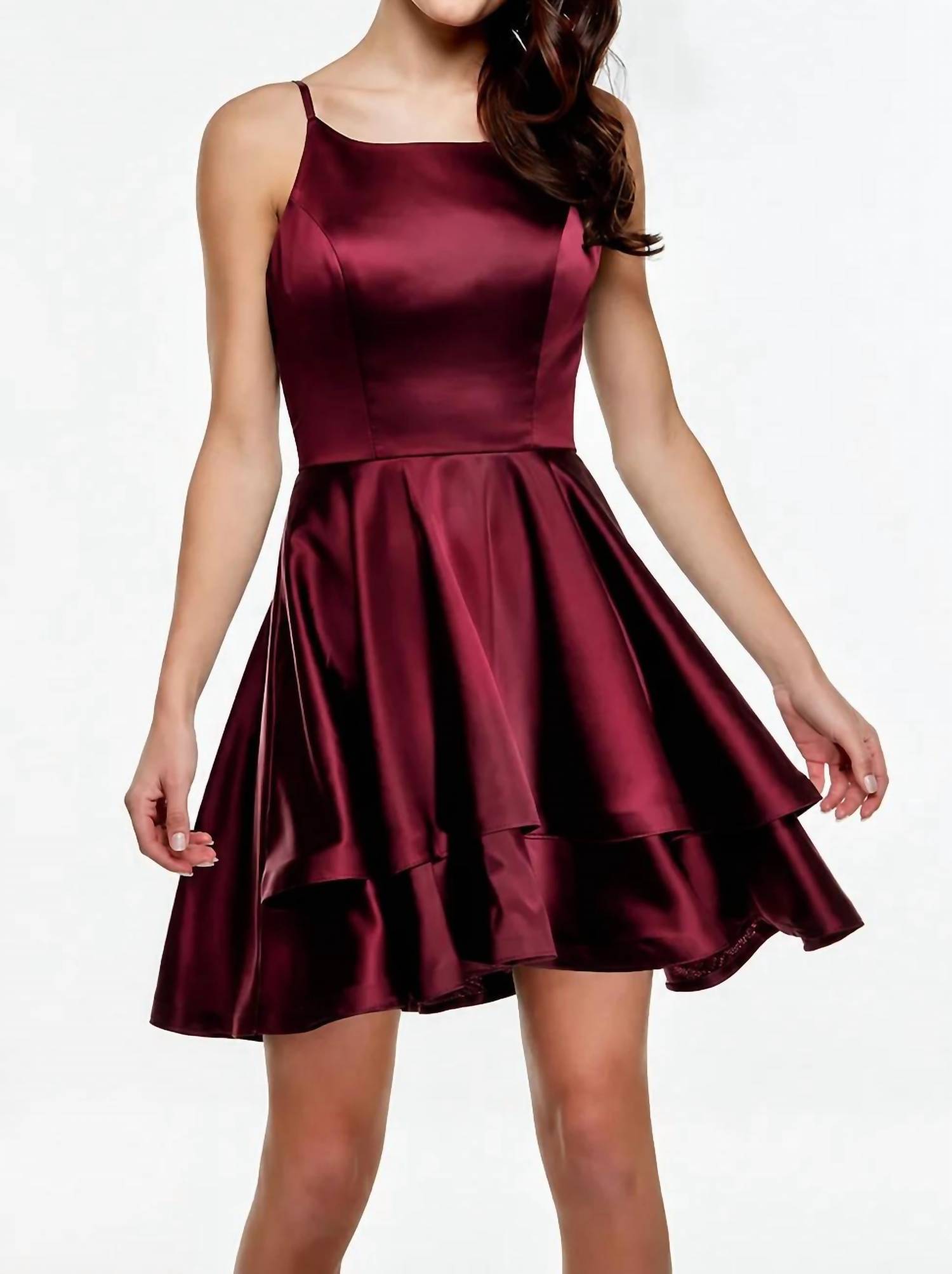 Alyce Paris - The Secret Dress