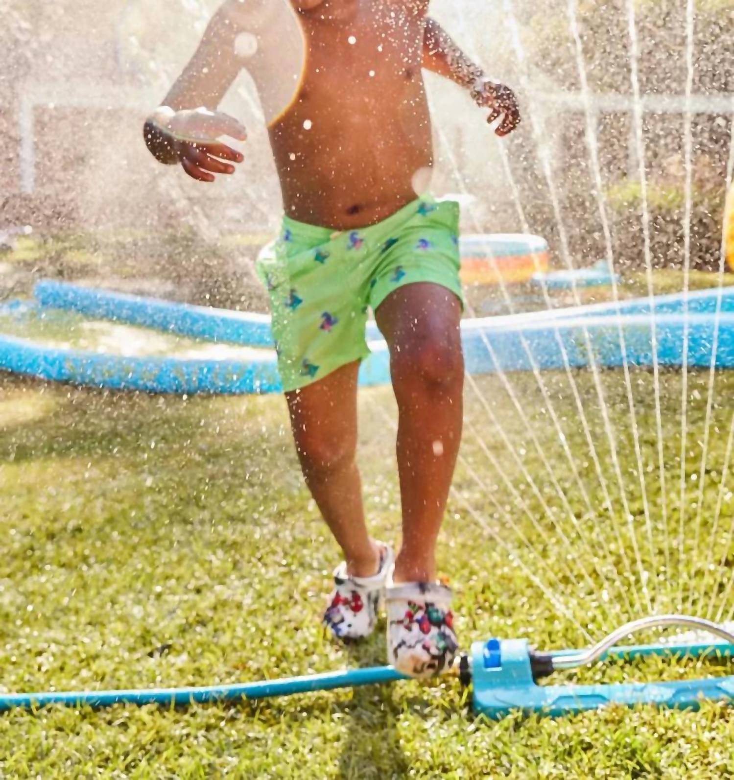 Chubbies - Seahorsin' Arounds Swim Trunks