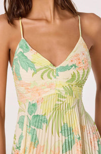 Astr - Blythe Tropical Dress