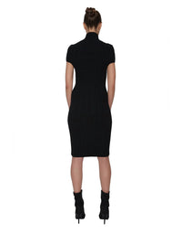 Kris Ribbed Cashmere Dress