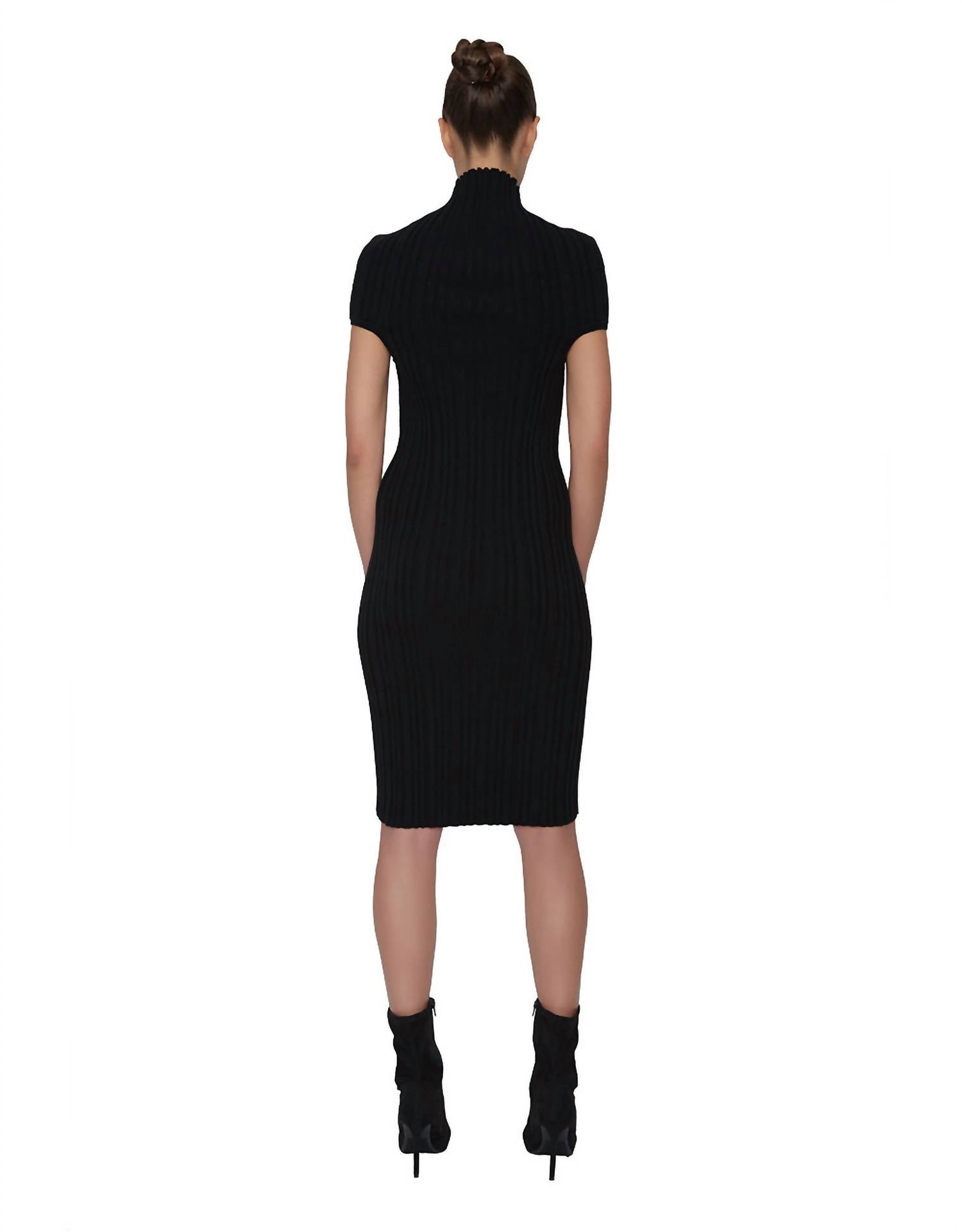Kris Ribbed Cashmere Dress