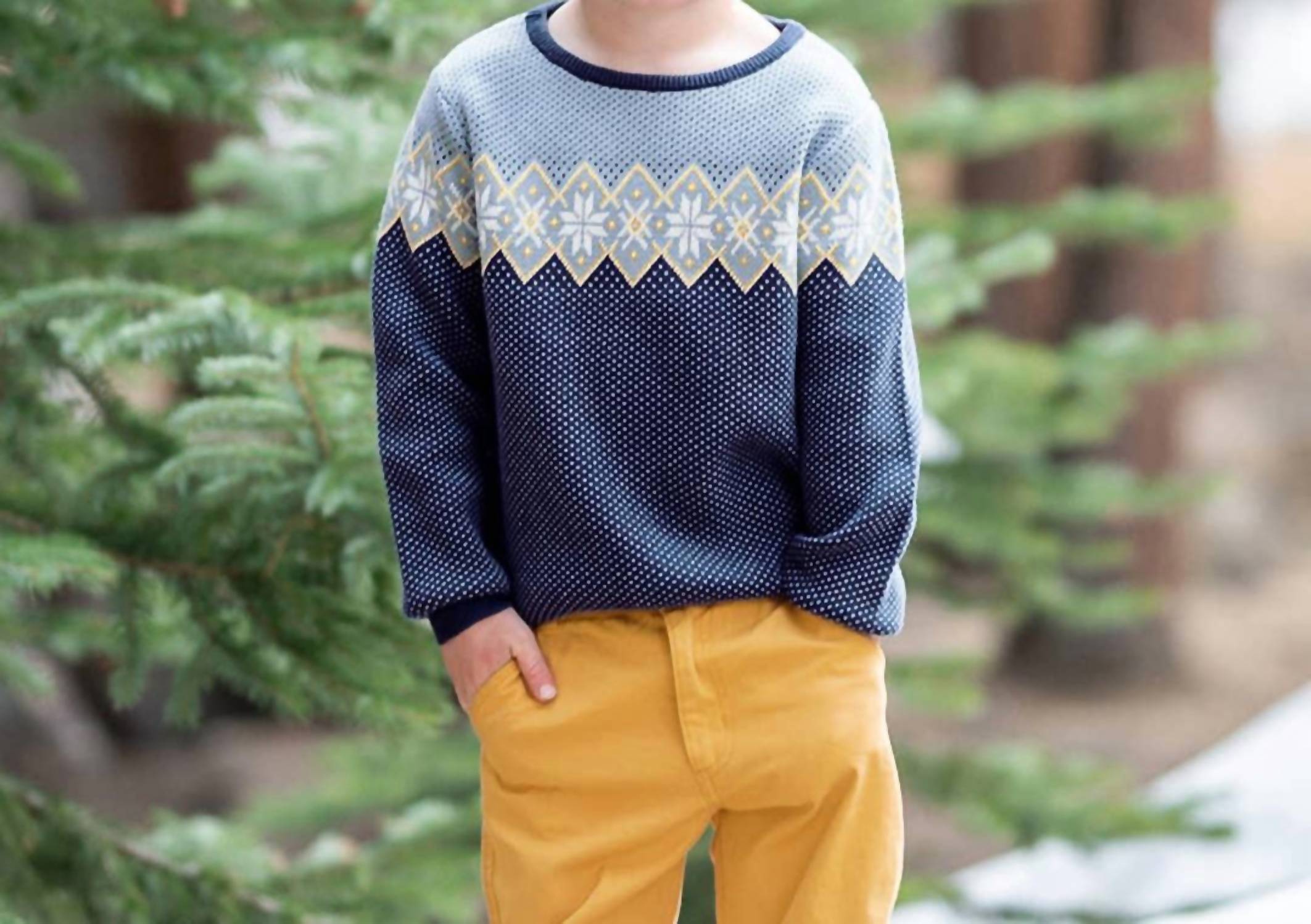 Rufflebutts - Boy's Antique Fair Isle Knit Crew Neck Sweater