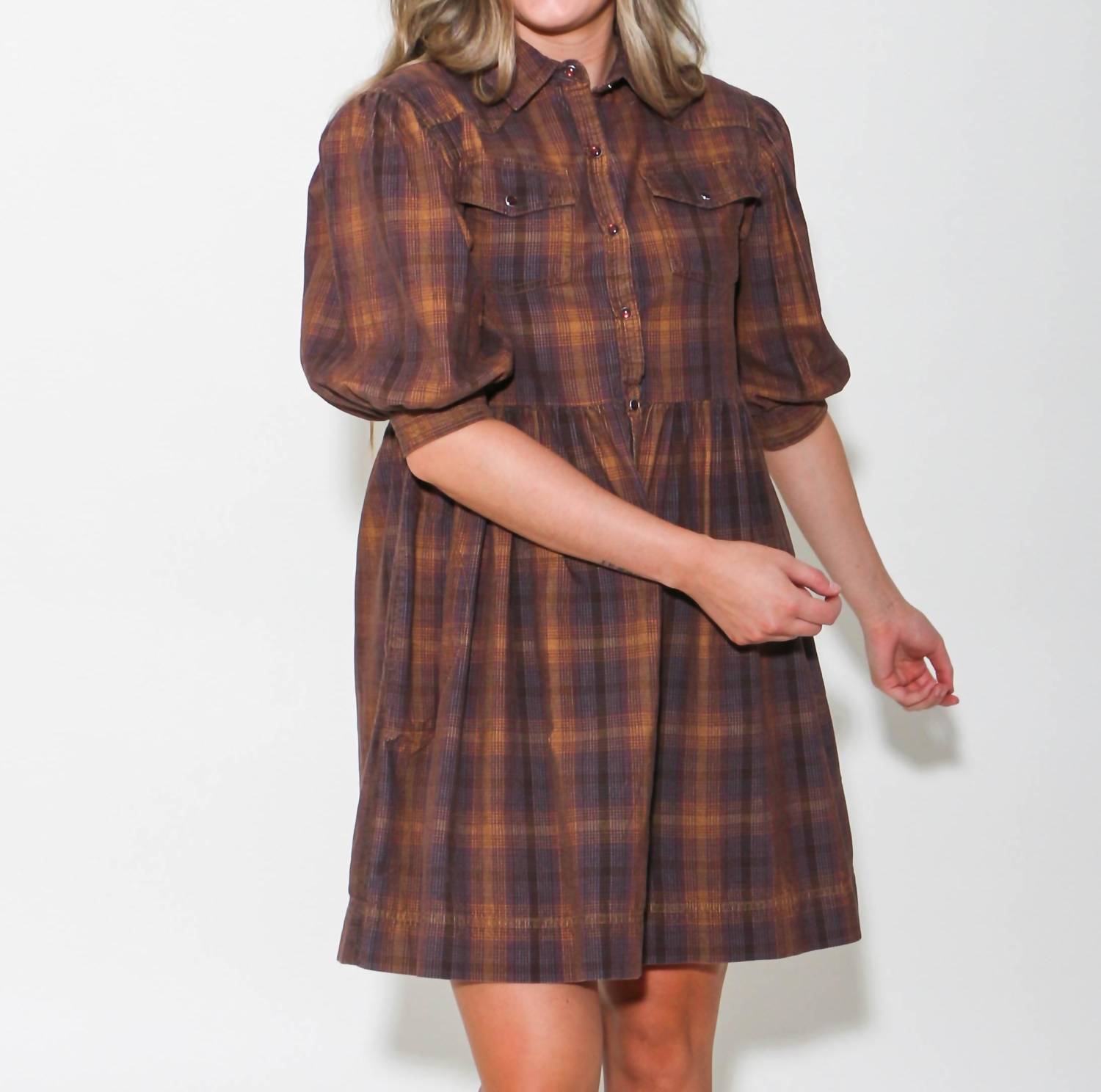 Ivy Jane - Ombre Plaid Snap Dress