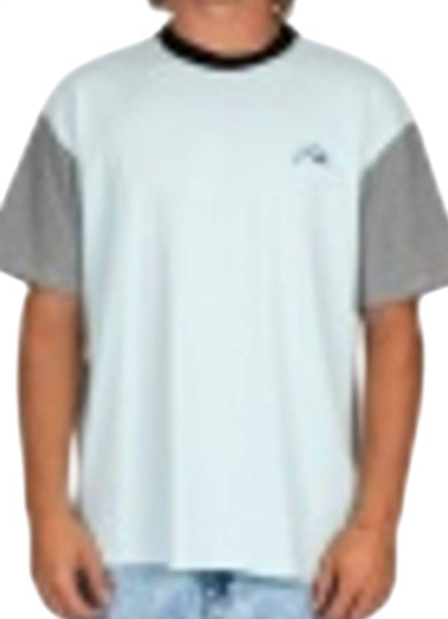 Rusty - Ferndale Short Sleeve Tee