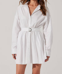 Astr - Winica Poplin Mini Dress