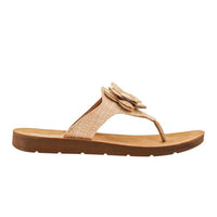 Corkys Footwear - Women's So Delish Flip Flops