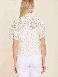 Dolce Cabo - Lace Collared Shirt