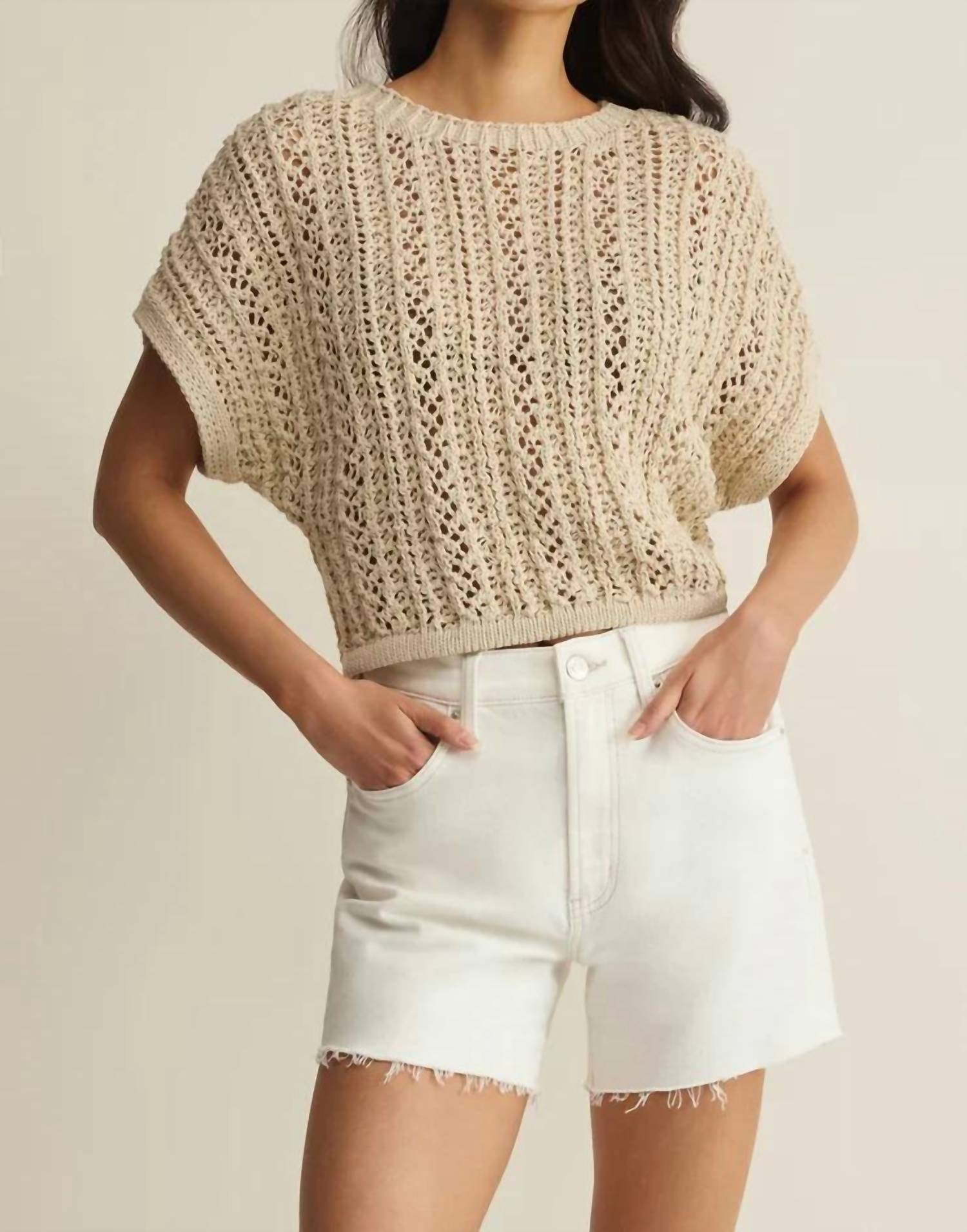 Z Supply - Ballast Crochet Sweater