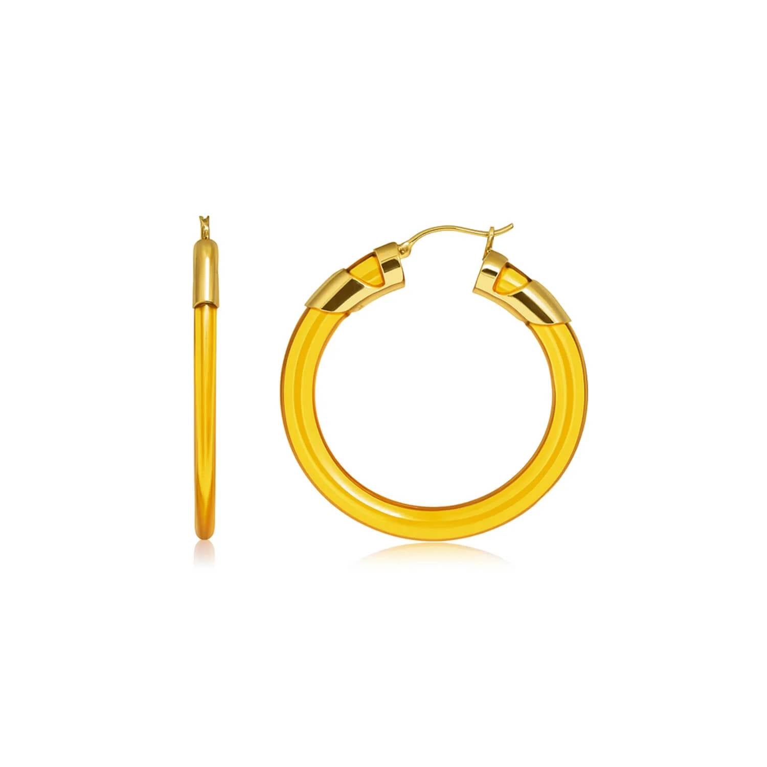 Gold & Honey - Women's Classic Flat Lucite Birthstone Hoop Earrings