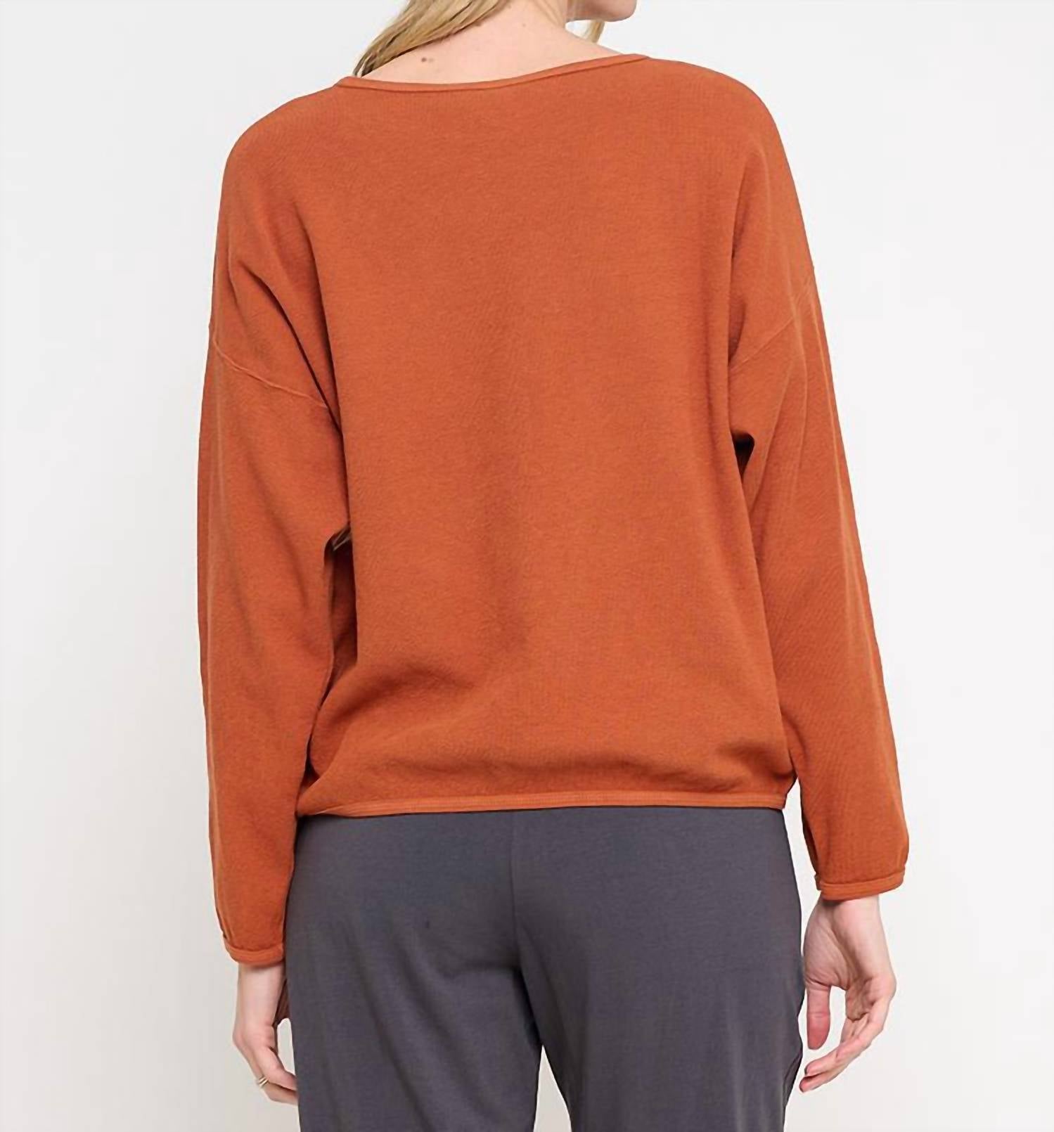 Cotton Lani Patch Star Sweatshirt in cedar - women's top - detail view