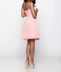 Last Dress - Sugar Blush Mini Dress