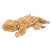 Douglas - Boogie Soft Bearded Dragon