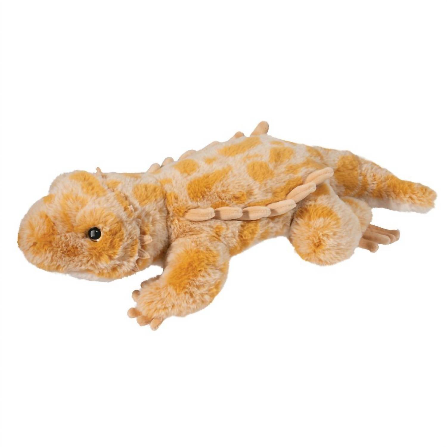 Douglas - Boogie Soft Bearded Dragon