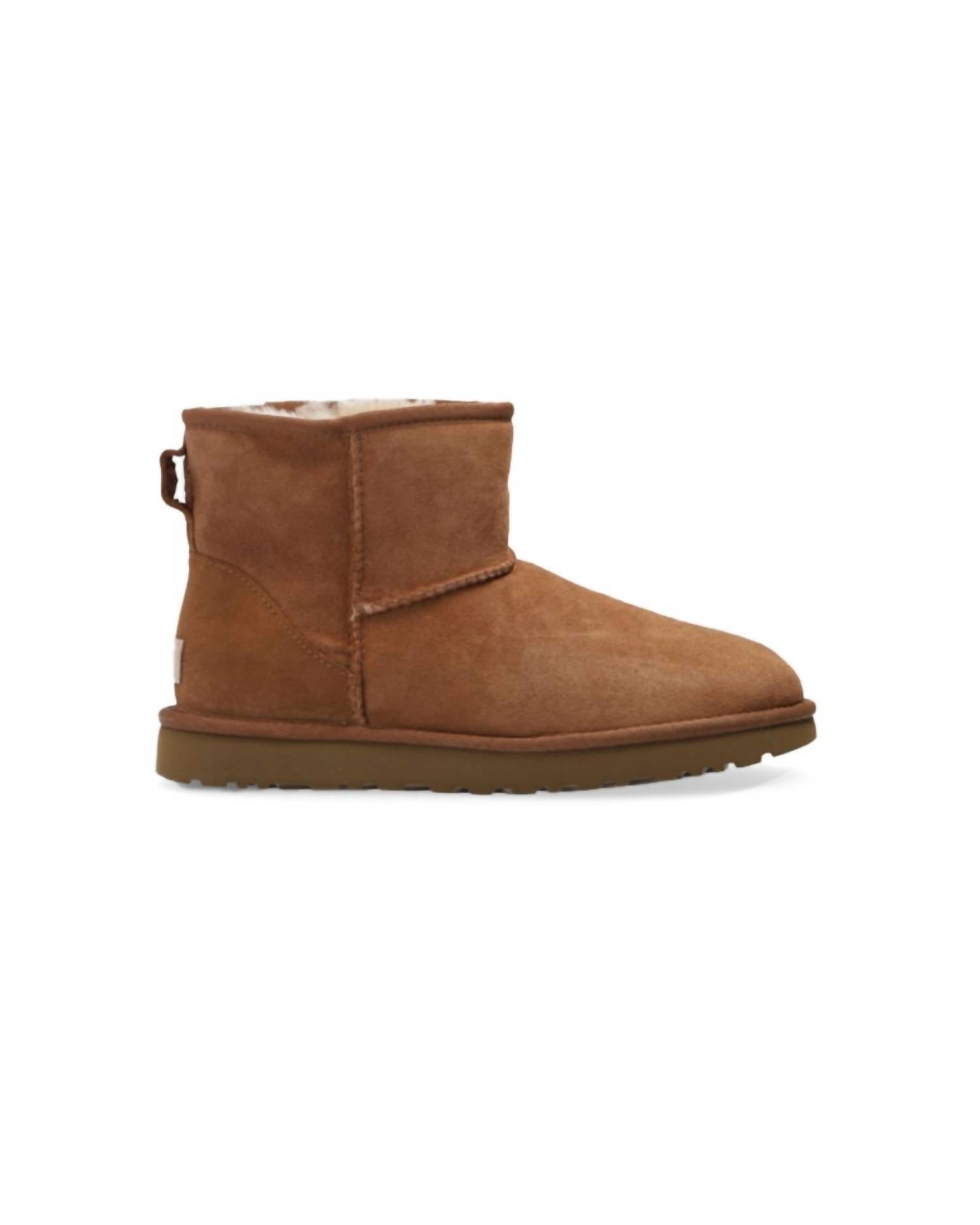 Ugg - Women's Suede Ankle Boots