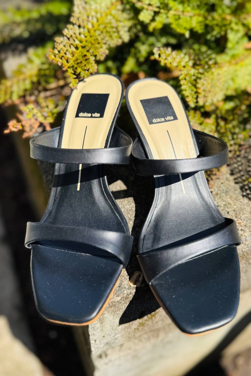 Dolce Vita - Women's Genora Heels