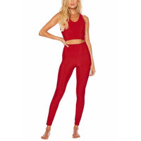 Beach Riot - Glitter Ayla Legging