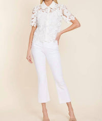 Dolce Cabo - Lace Collared Shirt