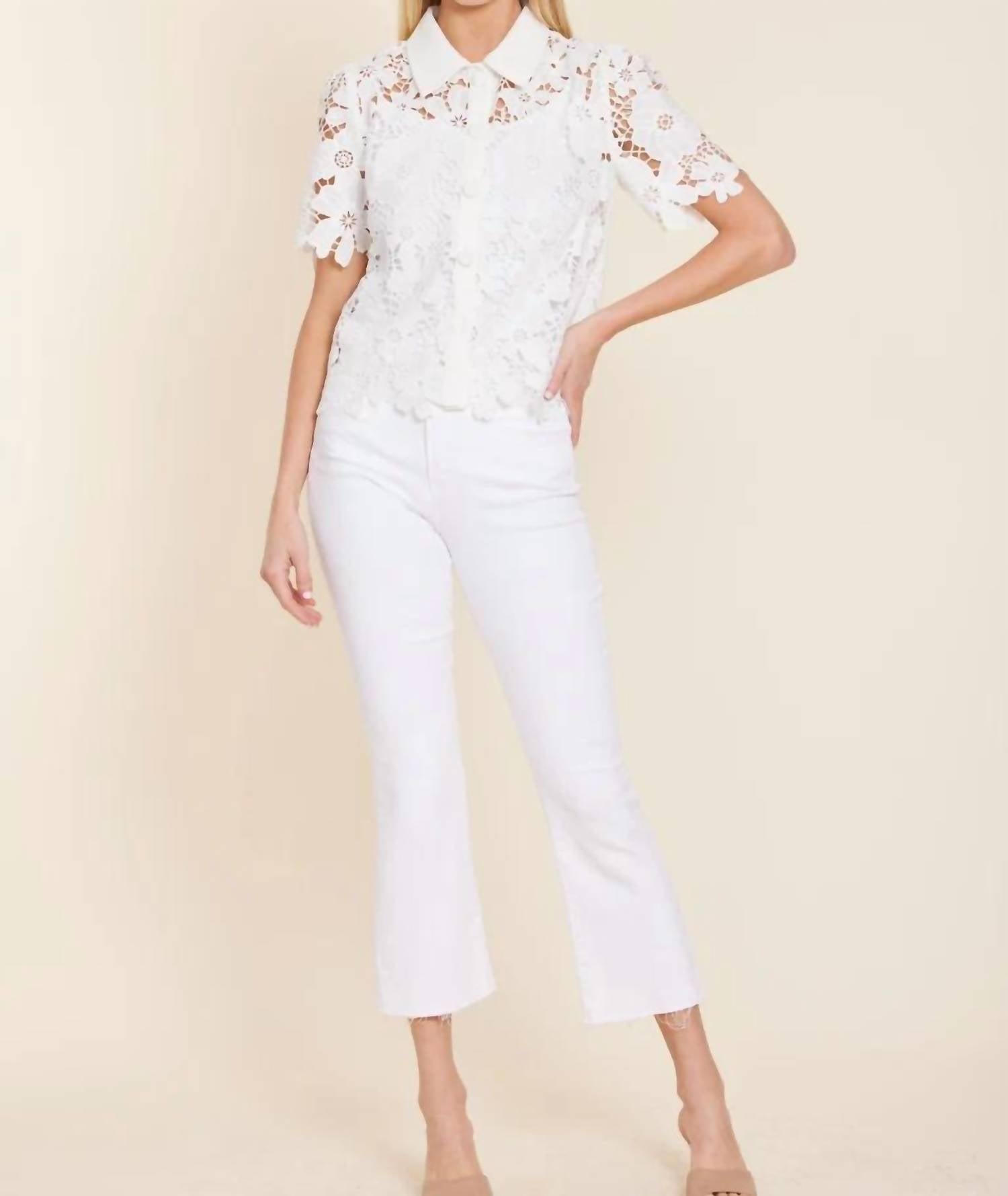 Dolce Cabo - Lace Collared Shirt