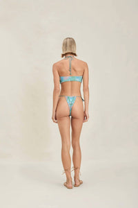 Devon Windsor - Willow Top