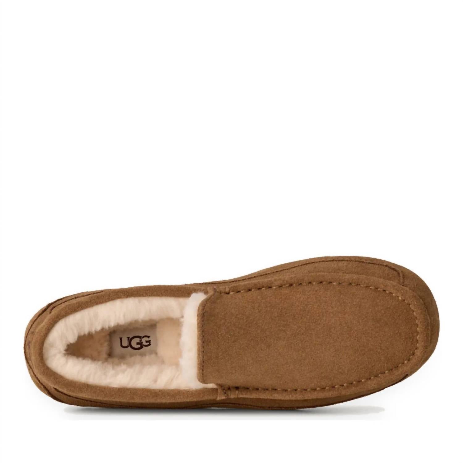 UGG Men's Ascot Suede Closed Toe Slip On Slippers in chestnut - men's loafer - view 4