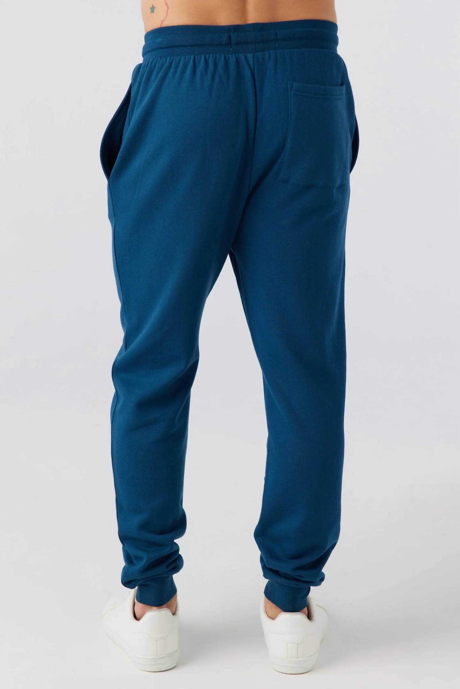 SOL ANGELES Wave Jogger Pants in lagoon - men's pants - alternate view