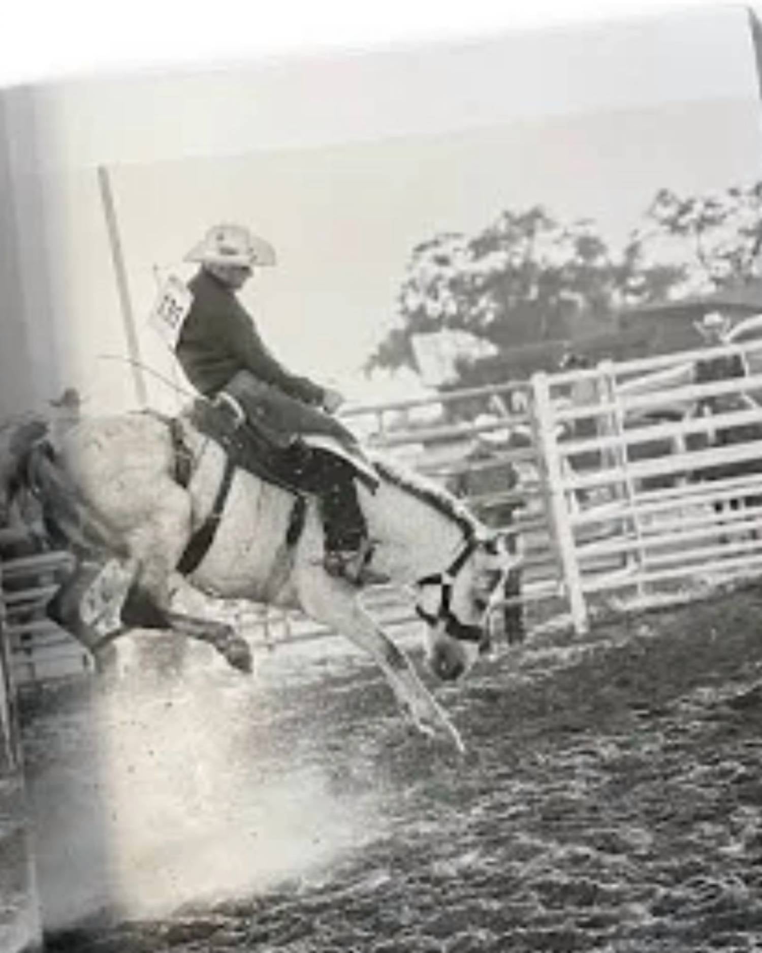 National Book Network - West: The American Cowboy