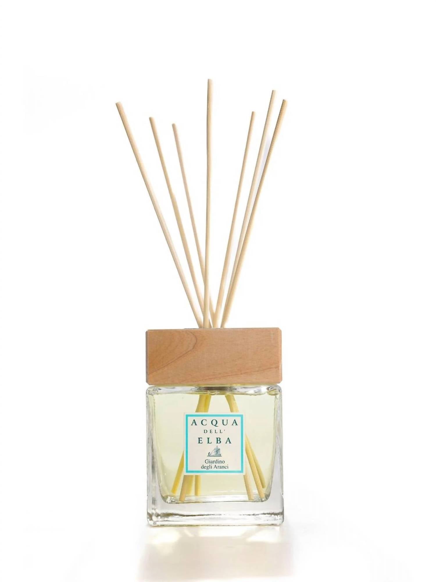 Acqua Dell'Elba Giardino degli Aranci Fragrance Diffuser in clear - item - view 4