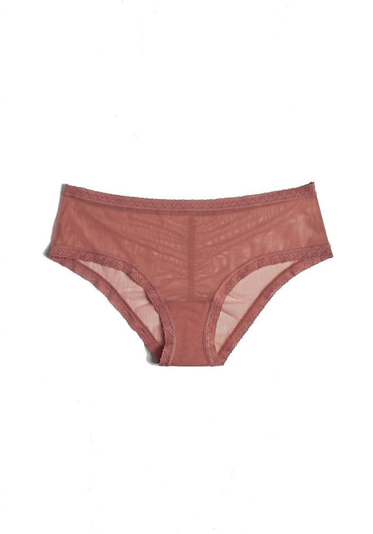 Blush Lingerie - Women's Mesh Lace Trim Hipster Panty