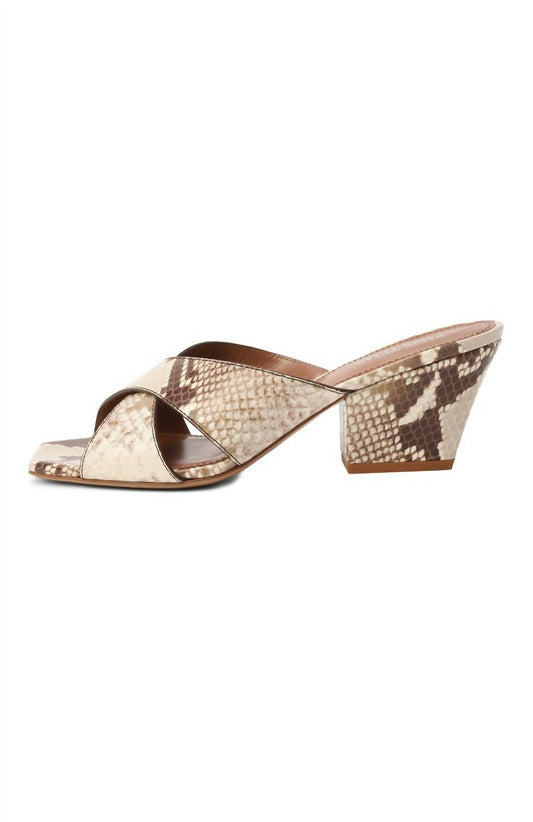 Paris Texas - Women's Arizona Leather Mules