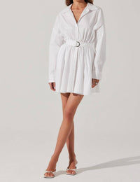 Astr - Winica Poplin Mini Dress