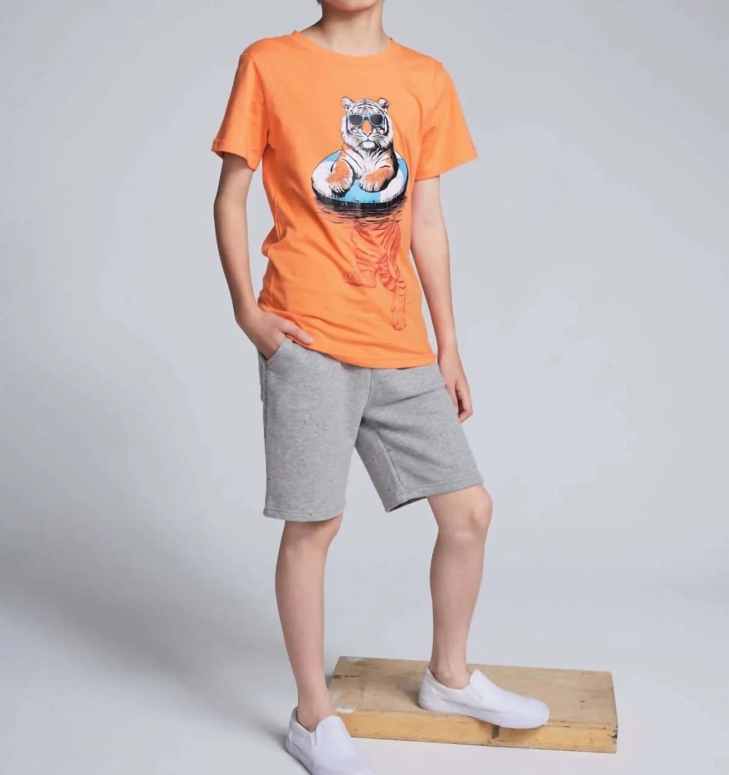 Appaman - Boy's Painted Heather Preston Shorts