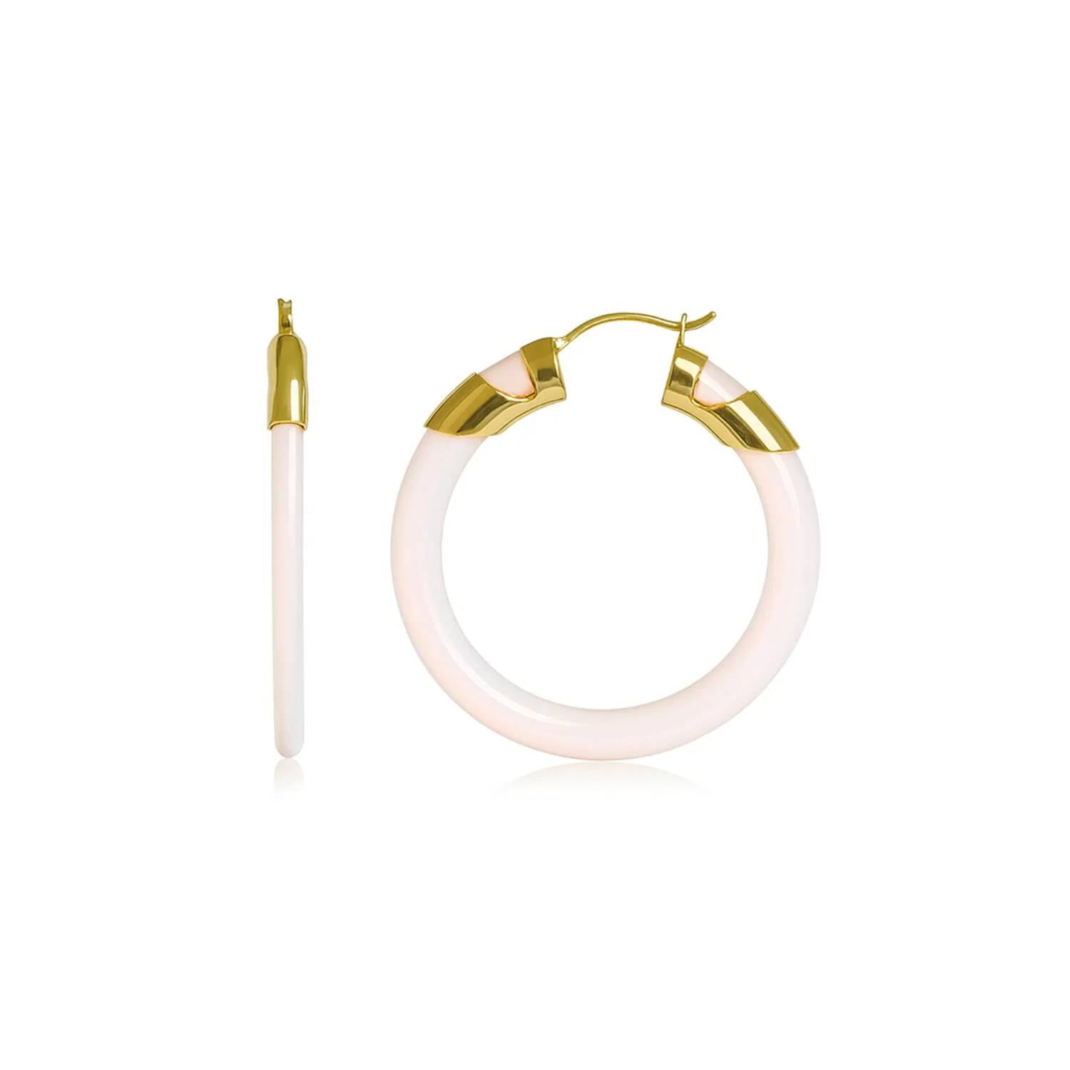 Gold & Honey - Women's Classic Flat Lucite Birthstone Hoop Earrings