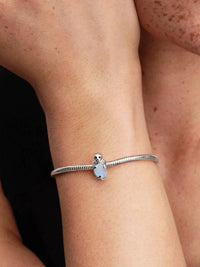 Pandora - Women's Seal Charm