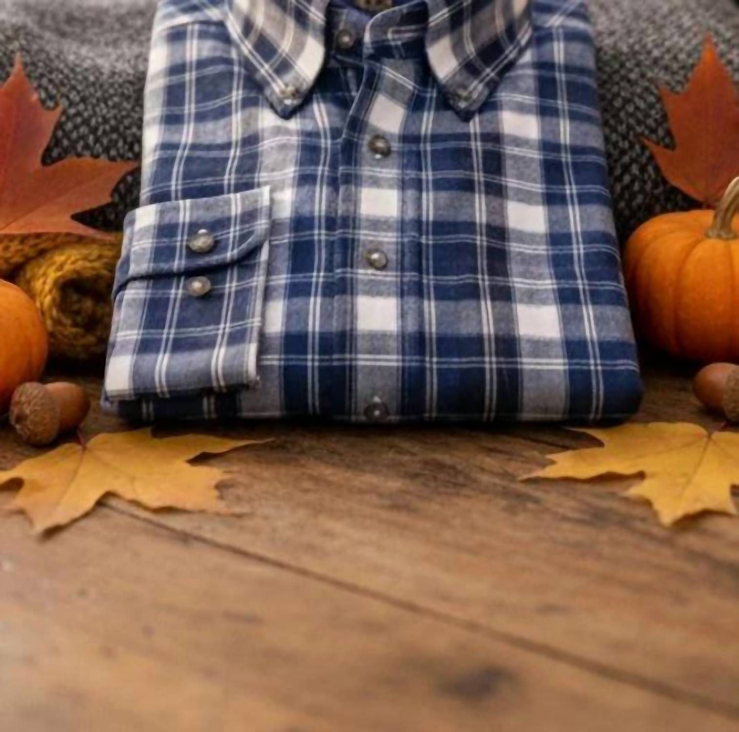Viyella - Men's Cotton And Wool Blend Button-down Shirt