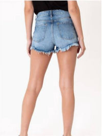 Pastel Thread Distressed Denim Shorts