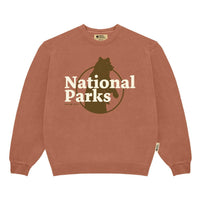 Parks Project Women's Our National Parks Puff Print Crew Sweater in rust - women's sweater - detail view