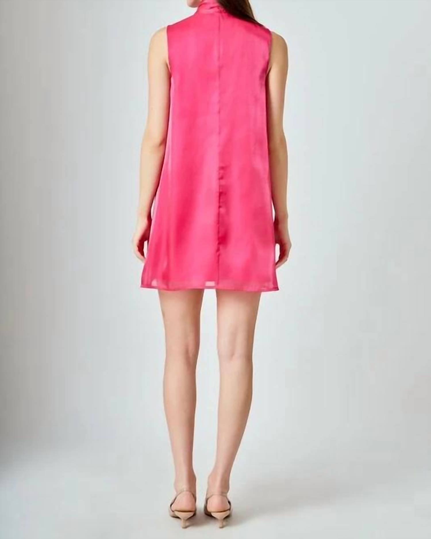 Endless Rose - Organza Mini Dress