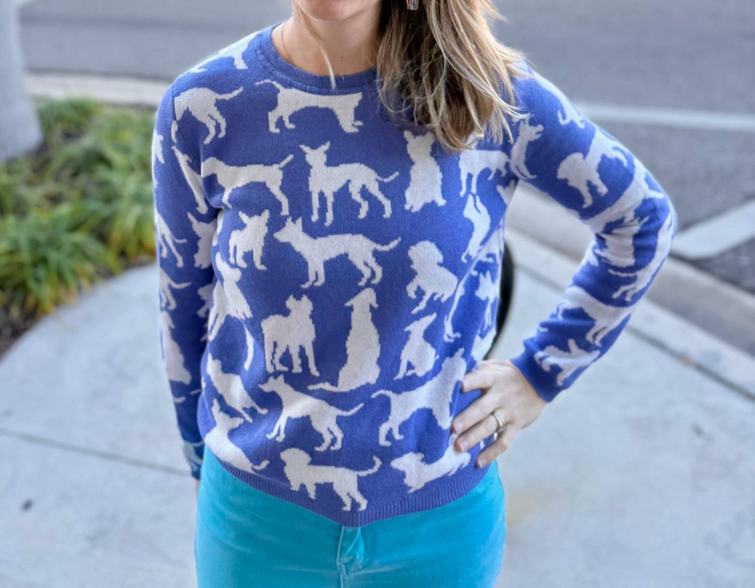 Alashan Cashmere - Dogs Crewneck Sweater