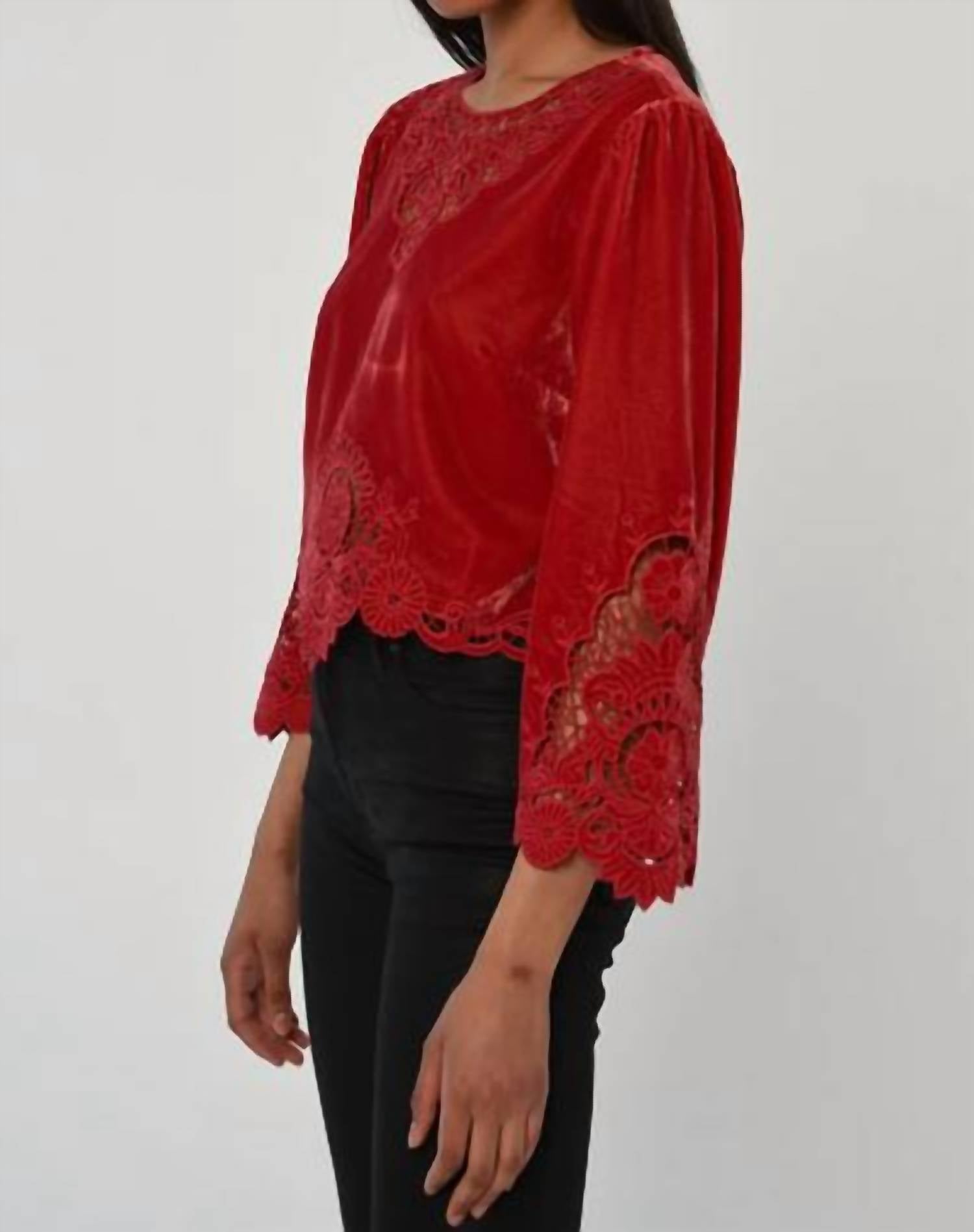 LOVE THE LABEL Alina Velvet Top in american beauty - women's blouse - alternate view