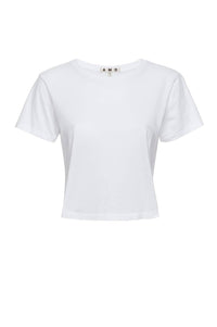 Amo - Babe Cropped Tee