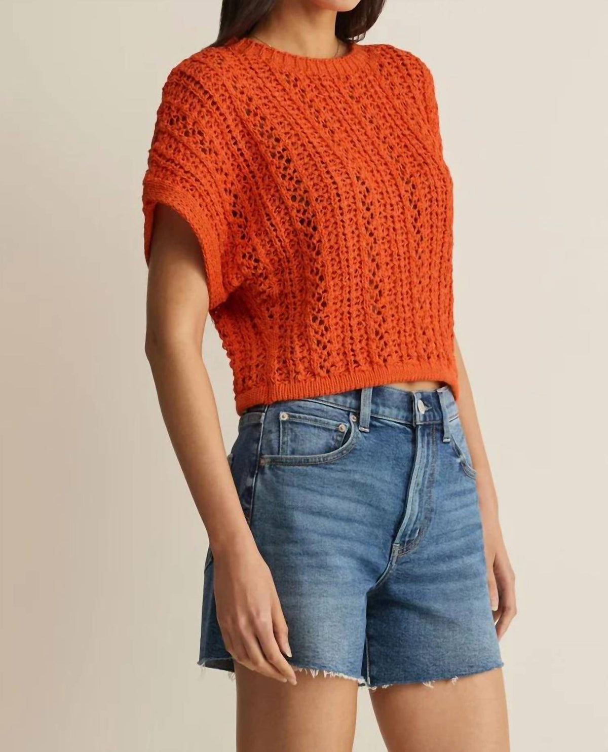 Z Supply - Ballast Crochet Top